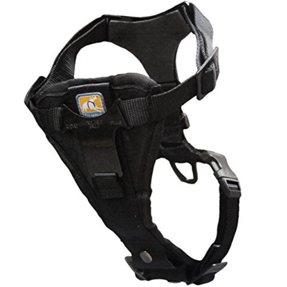 Kurgo Other - Camera Mount Dog Harness!
